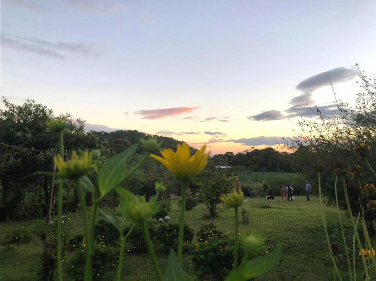 Finca Neblina Del Bosque Estelí المظهر الخارجي الصورة
