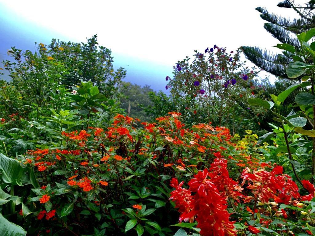 Finca Neblina Del Bosque Estelí المظهر الخارجي الصورة