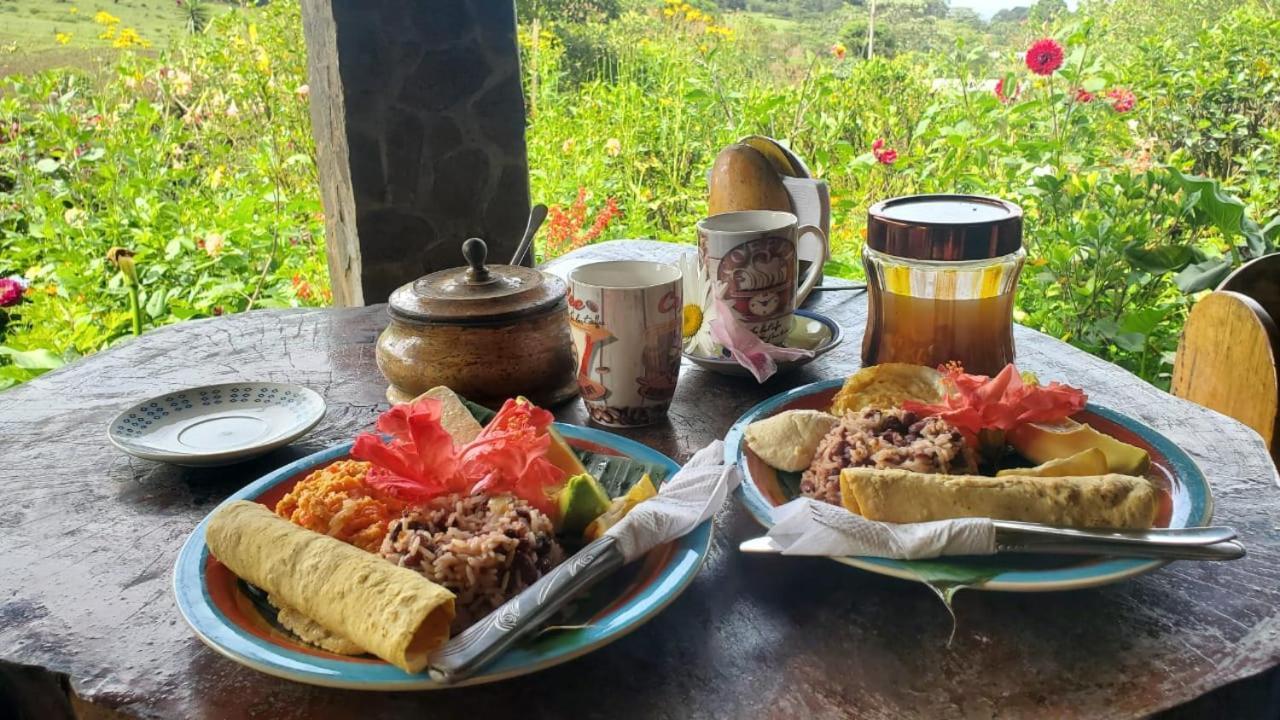 Finca Neblina Del Bosque Estelí المظهر الخارجي الصورة
