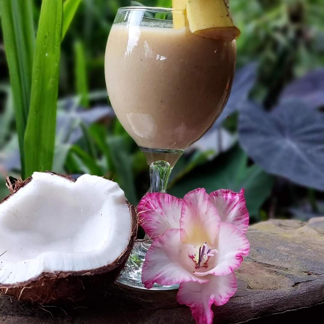 Finca Neblina Del Bosque Estelí المظهر الخارجي الصورة