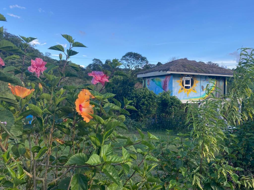 Finca Neblina Del Bosque Estelí المظهر الخارجي الصورة