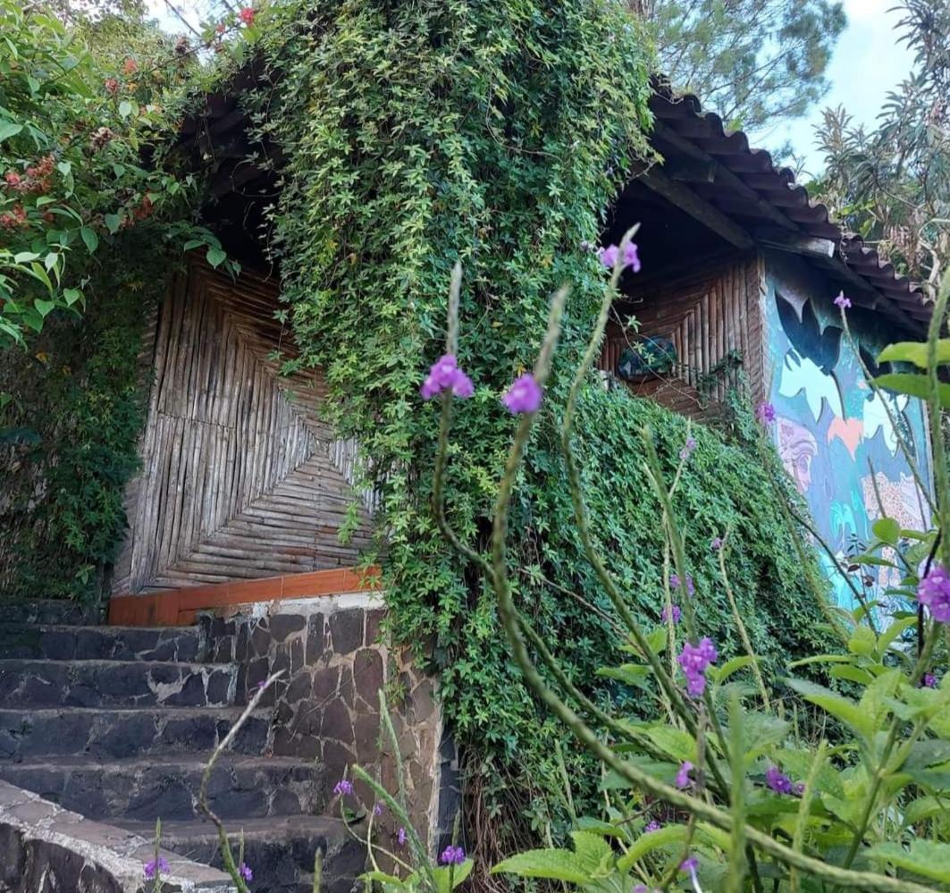 Finca Neblina Del Bosque Estelí المظهر الخارجي الصورة